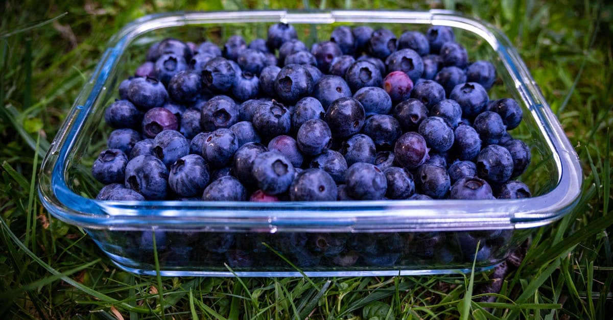 Bunter Teller mit entzündungshemmenden Lebensmitteln wie Lachs, Avocado, Beeren und Nüssen