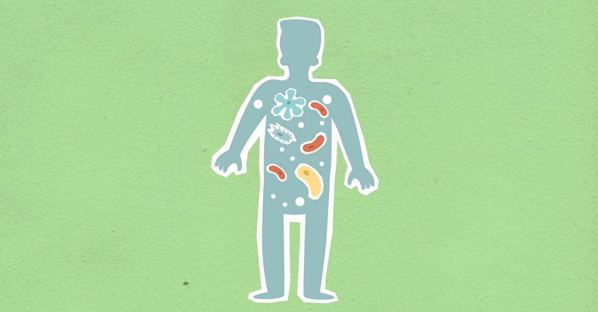 Vielfältige fermentierte Lebensmittel und ballaststoffreiche Nahrung auf einem Tisch