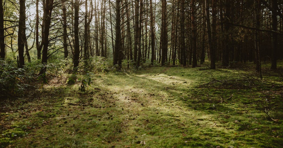 Sonnenlicht fällt durch ein Fenster auf eine Person, die am Schreibtisch sitzt