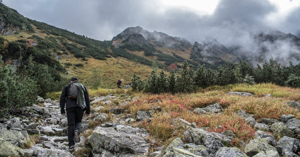 Wanderer auf einem Bergpfad mit Blick auf eine grüne Landschaft